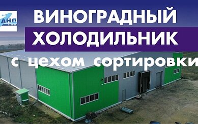 Виноградный холодильник
