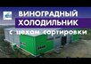 Виноградный холодильник