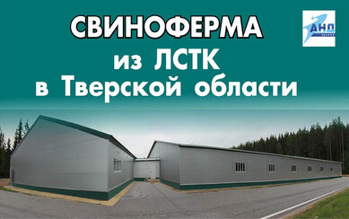 Свиноферма из ЛСТК в Тверской области