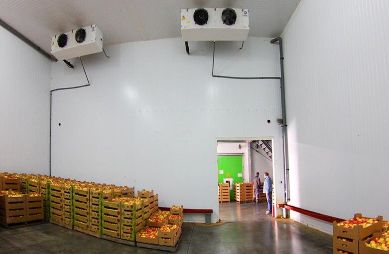 Холодильный склад-фруктохранилище 5000 т из металлоконструкций