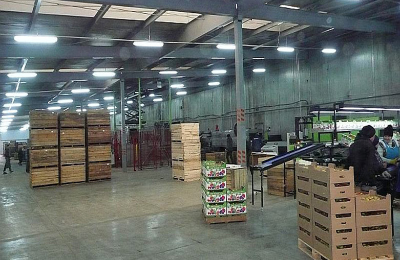 Холодильный склад-фруктохранилище на 5000 тонн из металлоконструкций