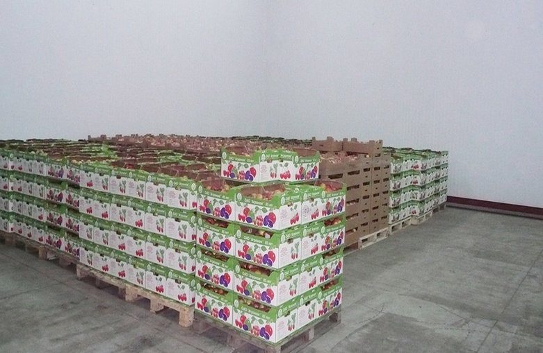 Холодильный склад-фруктохранилище на 5000 тонн из металлоконструкций