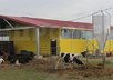 Строительство фермы: экономия без потерь