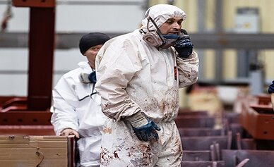 Разговор с профи: интервью с маляром ЗМК «Андромета»