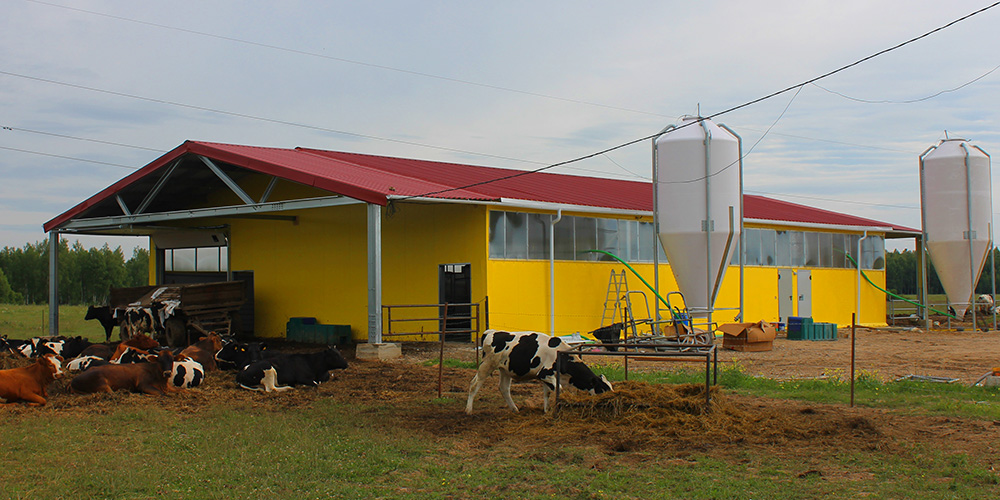 Быстровозводимая молочная ферма
