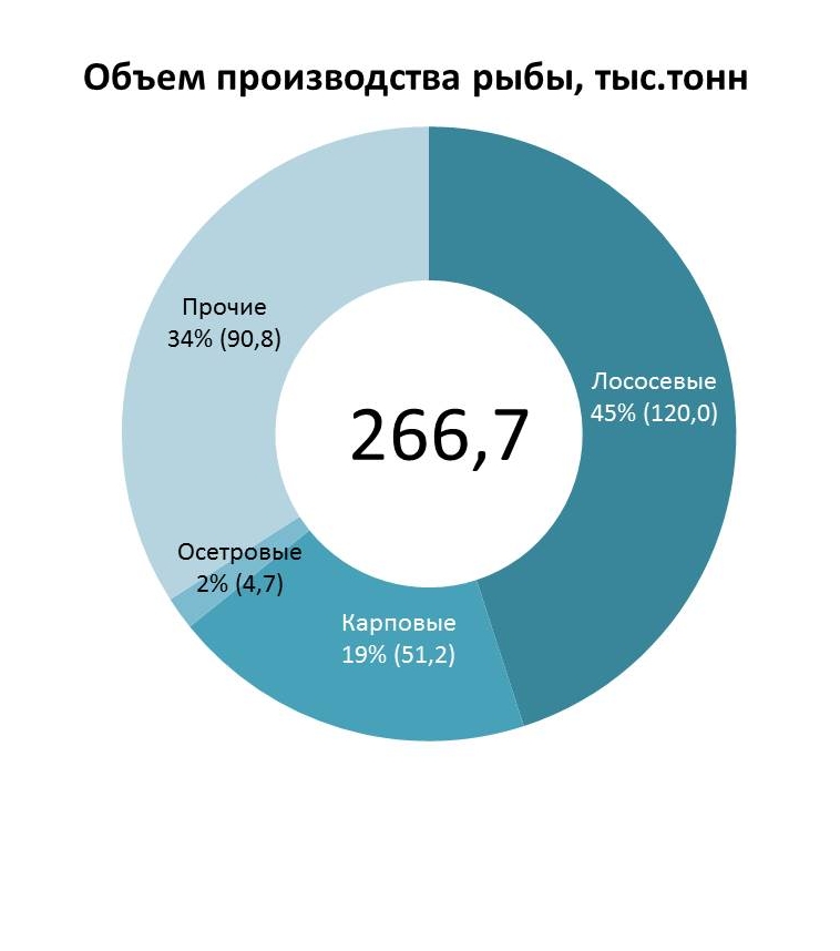 Разведение и выращивание осетра как бизнес